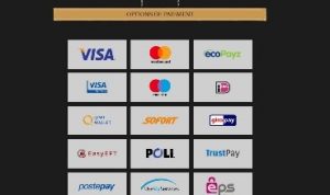 Bronze Casino Transactions financieres