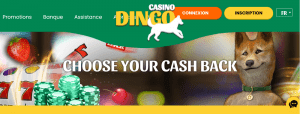 cashback sur Dingo