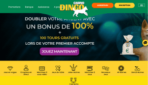 casino dingo apercu