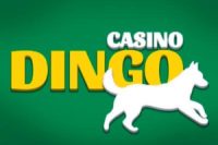 casino dingo logo