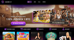 casinobit interface
