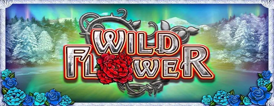 Wild Flower