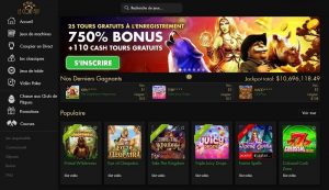 Le Coin Flip casino avis