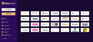 Mode de paiement sur Haz Casino