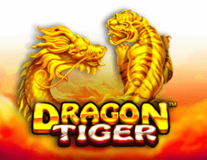 Dragon Tiger logo