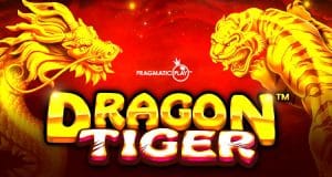 dragon tiger banniere