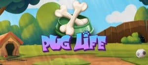 Pug Life banniere
