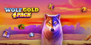 Wolf Gold 4 Pack banniere